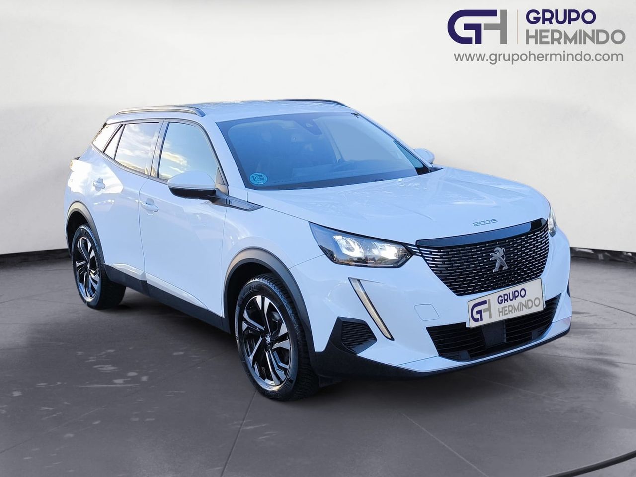 Preciosos cachorros  de segunda mano - peugeot 2008 2022 /