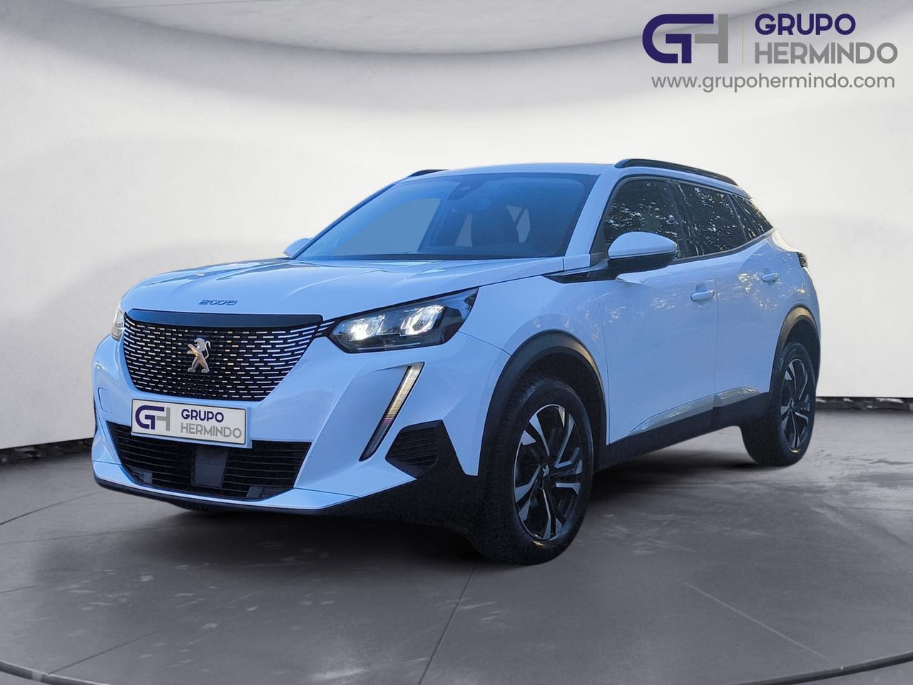 peugeot 2008 2022 / foto grande (2)