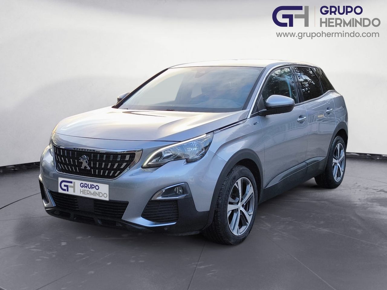 peugeot 3008 2017 / foto grande (2)