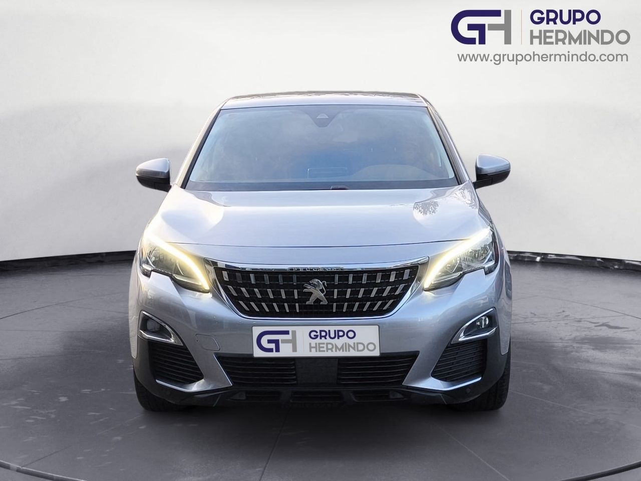 peugeot 3008 2017 / foto grande (3)