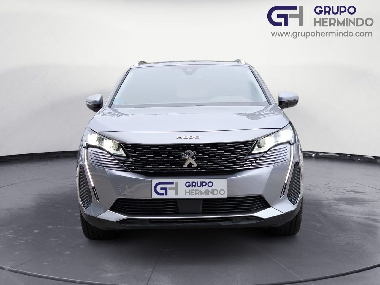 peugeot 3008 2021 / foto grande (3)