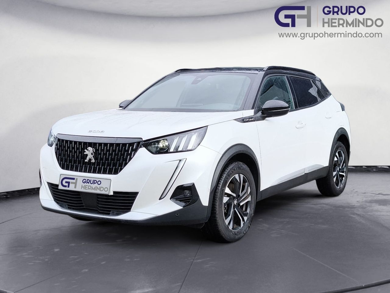 peugeot 2008 2021 / foto grande (2)