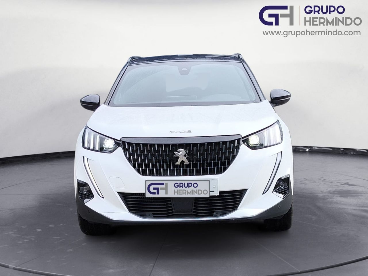 peugeot 2008 2021 / foto grande (3)