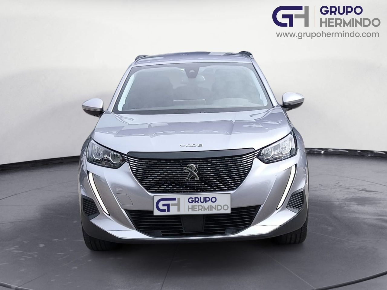 peugeot 2008 2020 / foto grande (3)