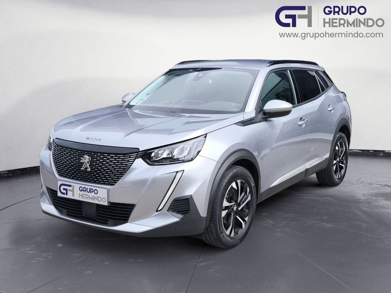 peugeot 2008 2020 / foto grande (2)