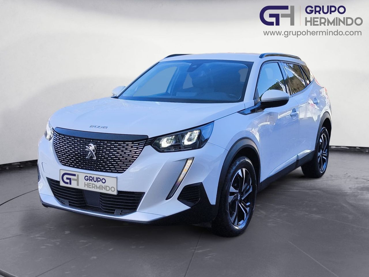 peugeot 2008 2022 / foto grande (2)