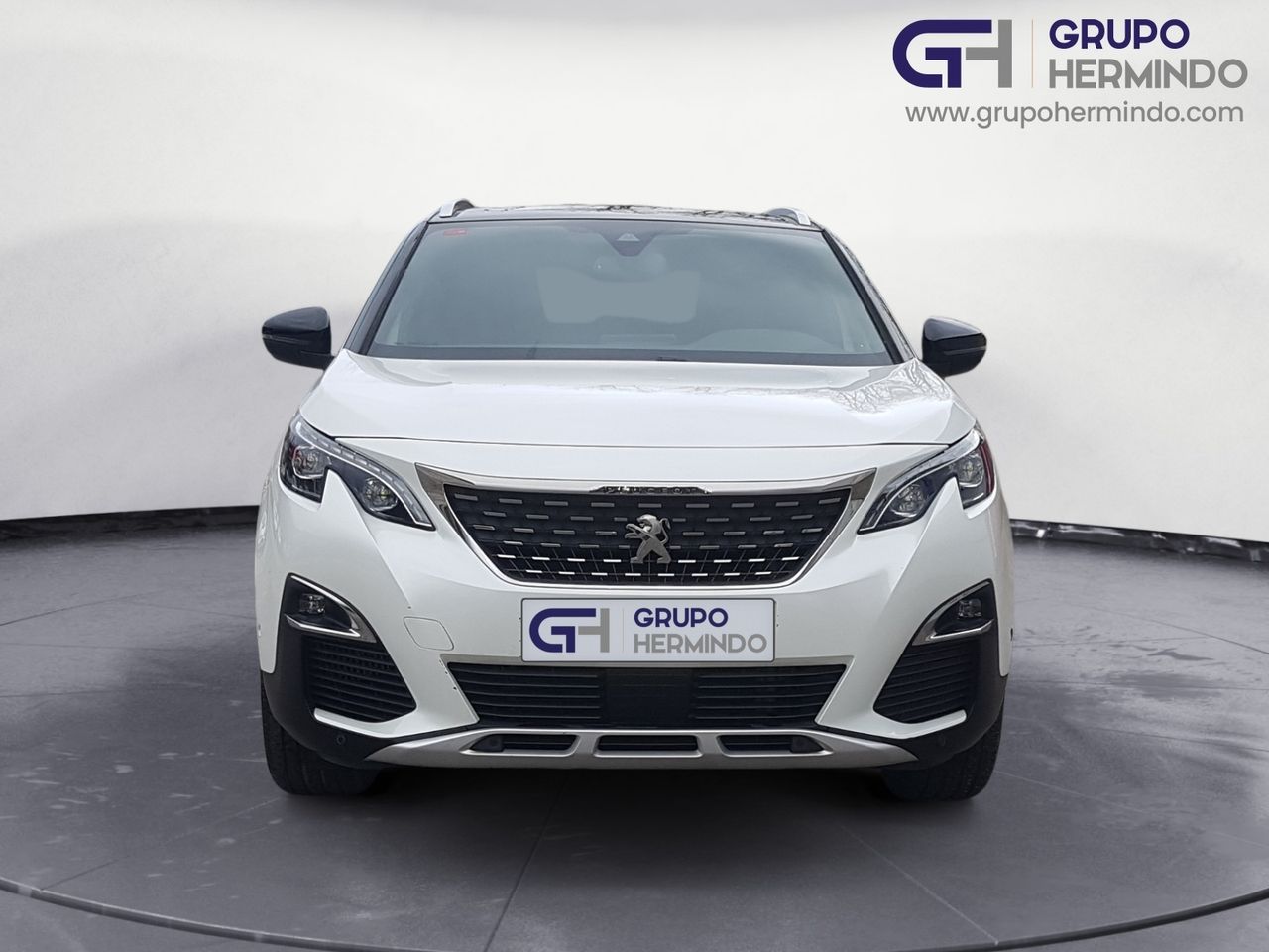 peugeot 3008 2018 / foto grande (2)
