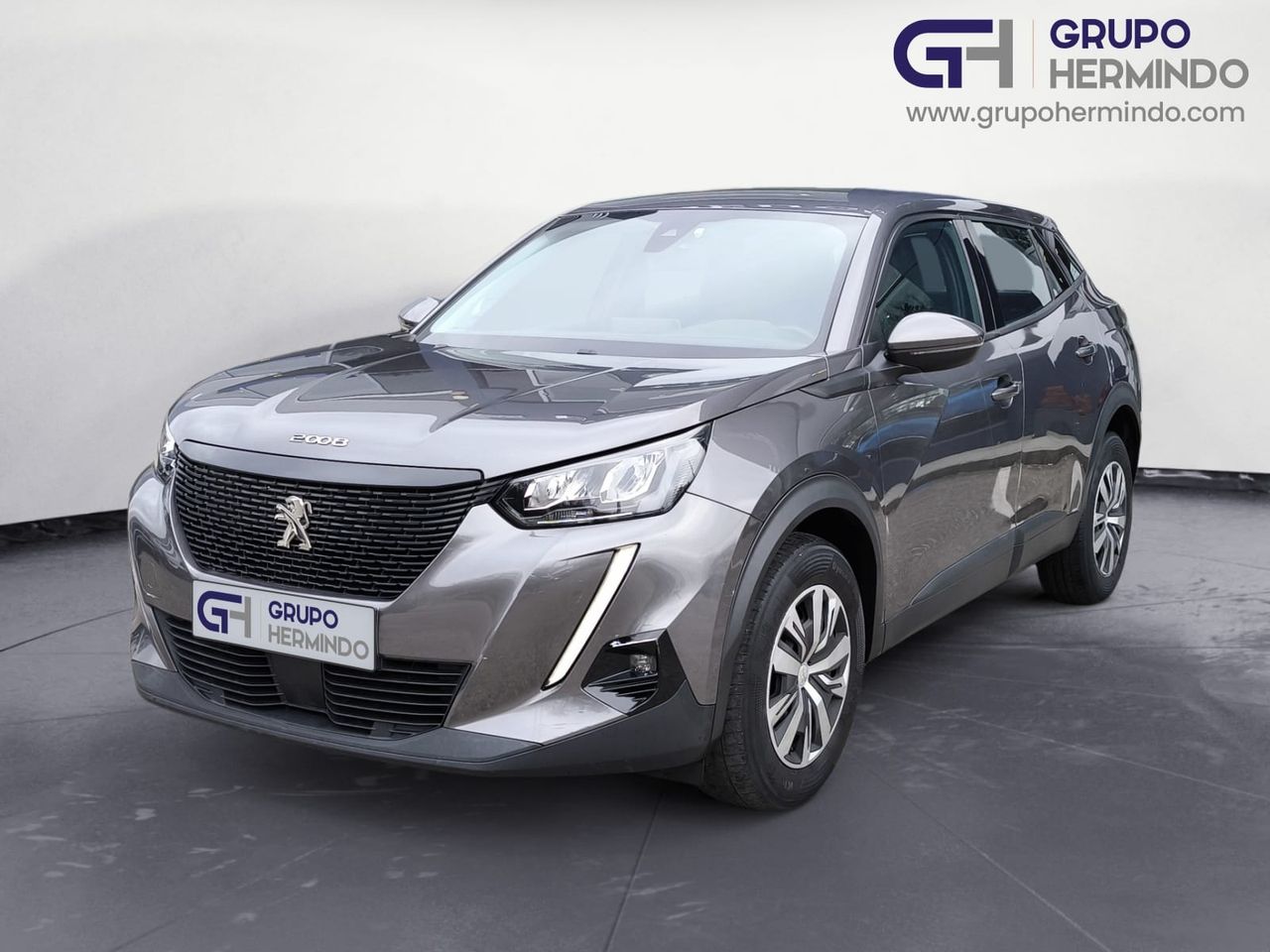 peugeot 2008 2020 / foto grande (2)