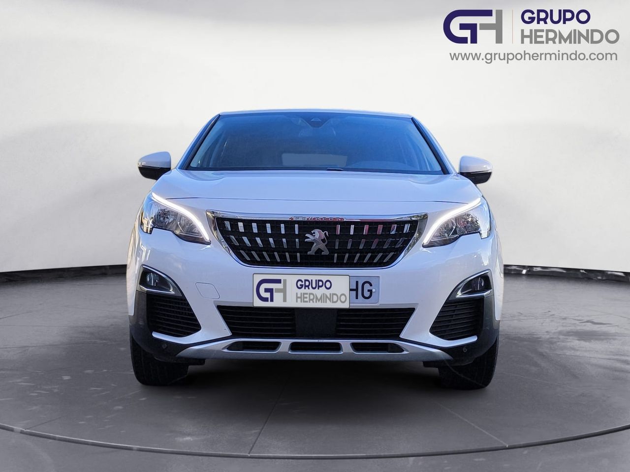 peugeot 3008 2020 / foto grande (3)
