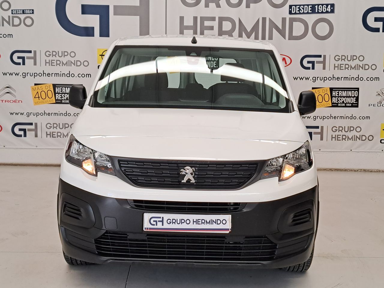 peugeot rifter 2019 / foto grande (3)