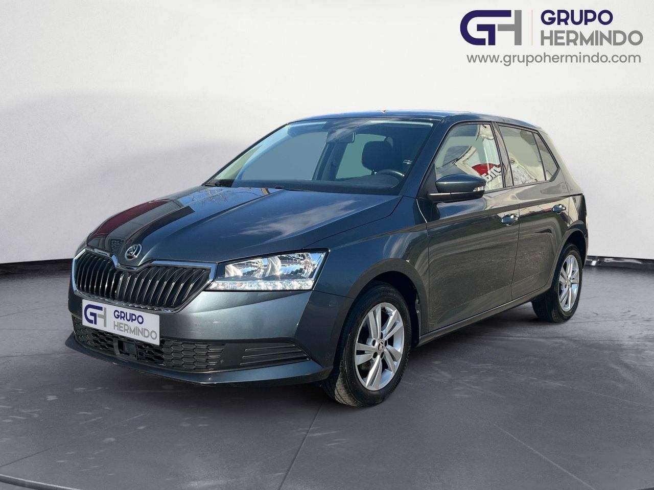 Foto skoda fabia 2020 /