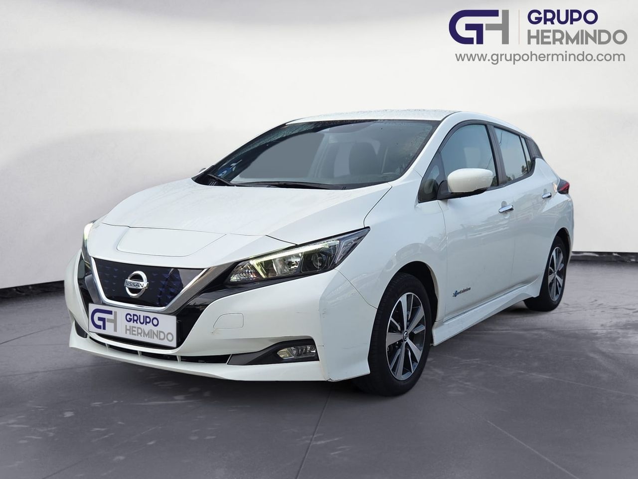 nissan leaf 2018 / foto grande (2)