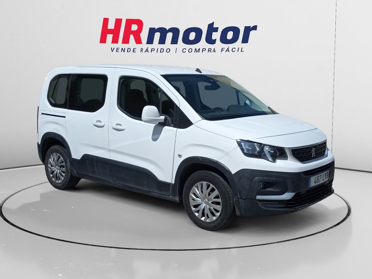 Loro super hablador  - peugeot rifter 2021 /